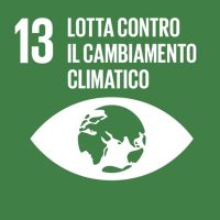 13 onu